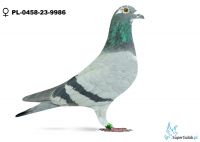 PL-0458-23-9986