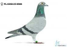 PL-0458-23-9986
