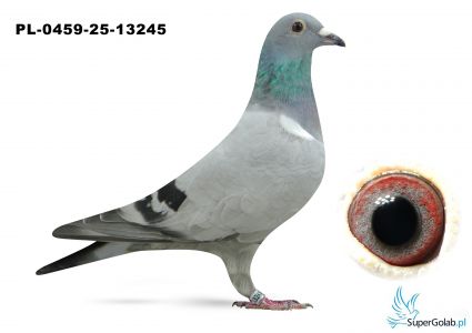 PL-0459-25-13245 inbret MITU vercammen