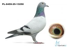 PL-0459-25-13250  De Rauw Sablon 