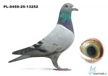 PL-0459-25-13252 inbred EURO DIAMOND