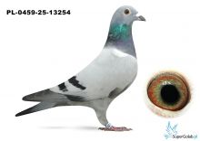 PL-0459-25-13254 de Rauw Sablon