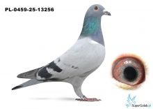 PL-0459-25-13256 de Rauw Sablon