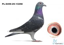 PL-0459-25-13258 inbred MITU Vercammen