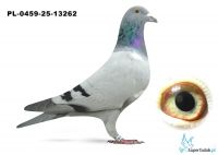 PL-0459-25-13262 de Rauw Sablon