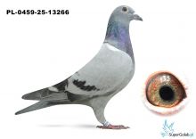 PL-0459-25-13266 de Rauw Sablon