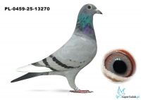 PL-0459-25-13270 inbred MITU Vercammen