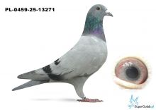 PL_0459-25-13271 100% Benny Steveninck 