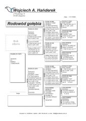 PL-0459-25-13279 inbred COMA DAKAR