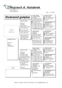 PL-0459-25-13279 inbred COMA DAKAR