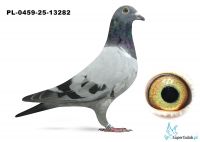 PL-0459-25-13282 inbred DAKAR