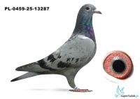 PL-0459-25-13287 