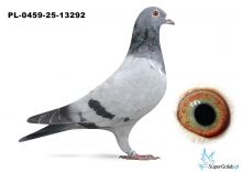 PL-0459-25-13292 inbred MERCEDES