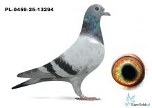 PL-0459-25-13294 inbred DAKAR 