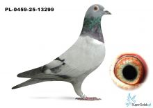 PL-0459-25-13299 DE RAUW SABLON