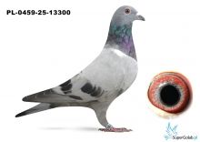 PL-0459-25-13300 DE RAUW SABLON