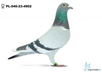 PL-046-23-4902