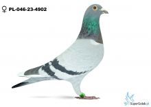 PL-046-23-4902