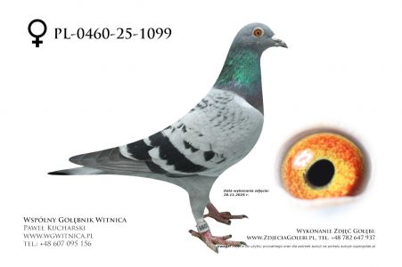 PL-0460-25-1099: SPL Witusinski, 7 Lotnik, m in 41m, 23m z FINAŁU