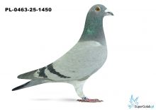 PL-0463-25-1450 28. OKRĘG LUBLIN 