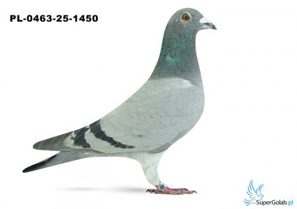 PL-0463-25-1450 28. OKRĘG LUBLIN 