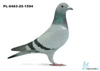 Pl-0463-25-1594 28. OKRĘG LUBLIN 