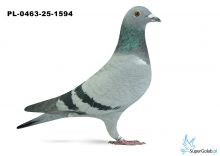 Pl-0463-25-1594 28. OKRĘG LUBLIN 