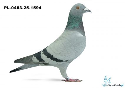 Pl-0463-25-1594 28. OKRĘG LUBLIN 