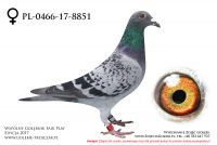 PL-0466-17-8851