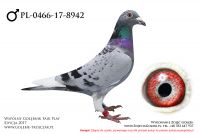 PL-0466-17-8942