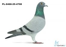 PL-0468-25-4708 12 Okręg Biała Podlaska