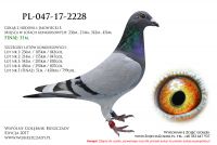 PL-047-17-2228