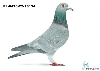 PL-0470-22-10154