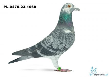 PL-0470-23-1060