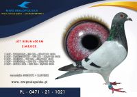 PL 0471 21 1021 – JUSZCZYK ROBERT – 2 m SUPER FINAŁ odległość 600km!!!, 52m FINAŁ !!!
