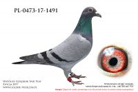 PL-0473-17-1491