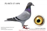 PL-0473-17-1494