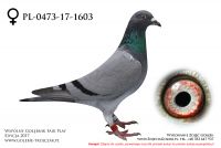 PL-0473-17-1603