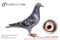PL-0473-17-1704