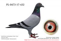 PL-0473-17-432