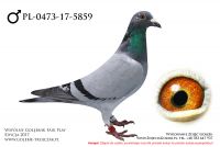 PL-0473-17-5859