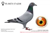 PL-0473-17-6218