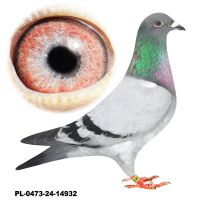 PL-0473-24-14932-L.v.Loon