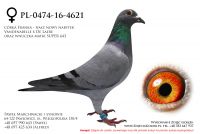 PL-0474-16-4621