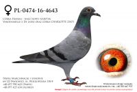 PL-0474-16-4643