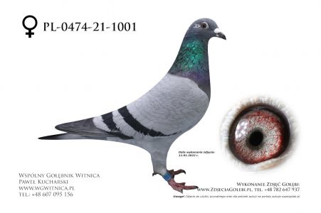 PL-0474-21-1001: Nowak Tomasz - siostra 1. lotnika Oddziału Gostyń