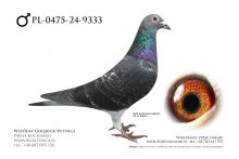 PL-0475-24-9333: K Robakiewicz, m in 33m, 32m, 7m, 32m, 13m, 33m z FINAŁU