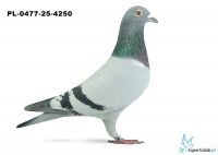 PL-0477-25-4250 21. OKRĘG SZCZECIN 