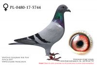 PL-0480-17-5744