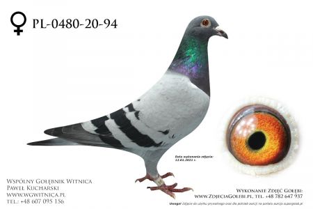 PL-0480-20-94 - Gostynski Robert